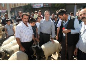 Tahmazoğlu, Kurban Satış Yerlerini Ziyaret Etti