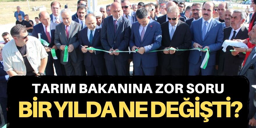 Bir yılda ne değişti?