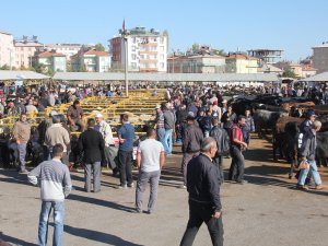 Seydişehir Hayvan Pazarı açıldı