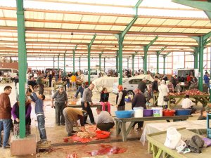 Karatay'da temiz kurban kesimi