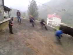 Lazların aksiyon dolu bayramı