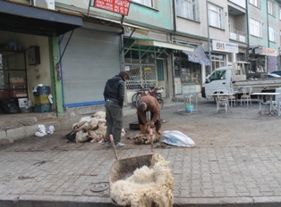 Kurban derileri satışa hazırlanıyor