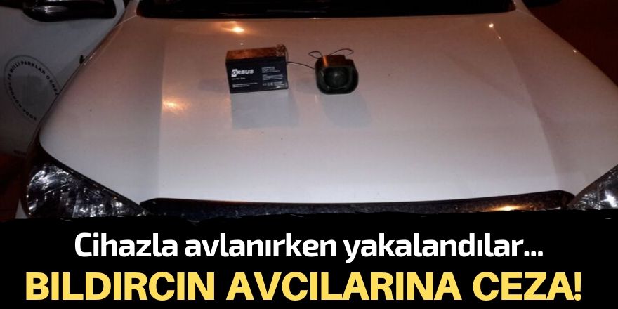 Cihazla bıldırcın avlamaya ceza!