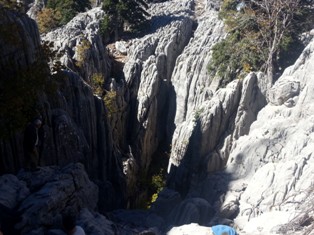 Kayıp çoban ölü bulundu
