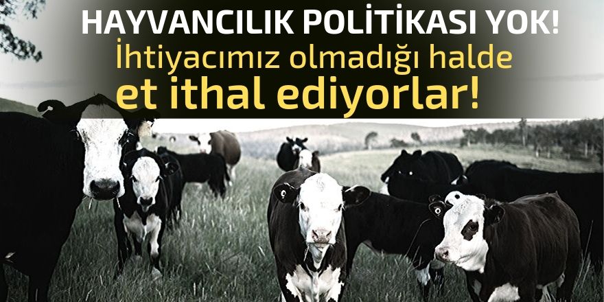 Hayvancılık politikası yok!