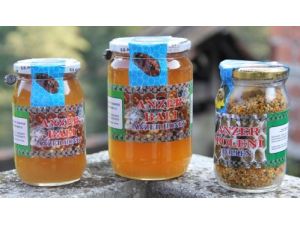 Başbakan’ın Kovanından 1,5 Kilo Anzer Balı Çıktı