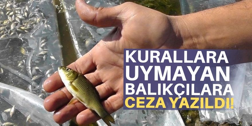 Balıkçılara ceza yazıldı!