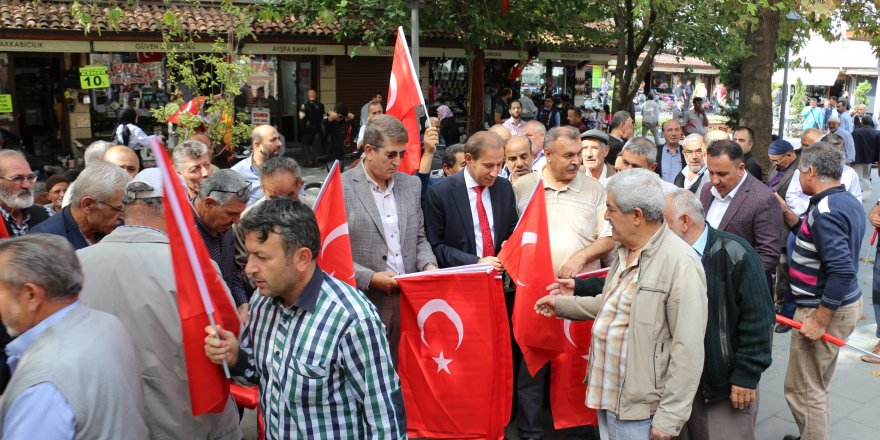 Barış Pınarı Harekatı'na Türk bayraklı destek