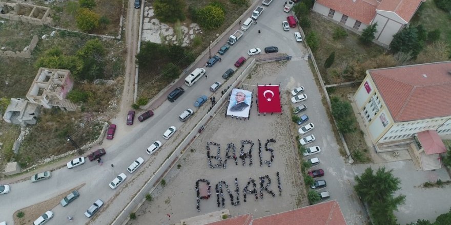 Barış Pınarı Harekatına katılan Mehmetçiğe cevizli destek