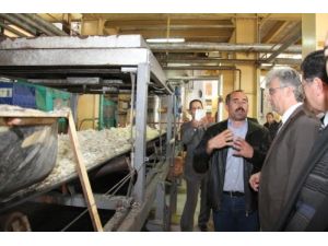 İşçiler, Vali Tepe'ye Şeker Tozu Tattırdı