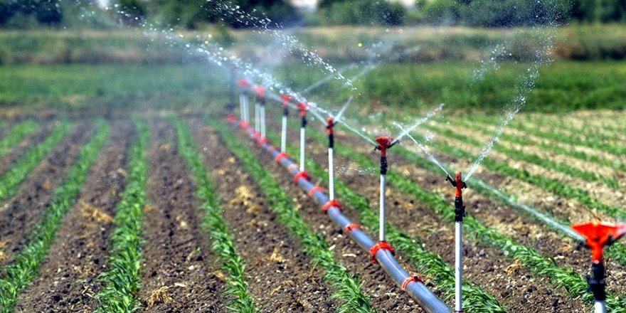 2019 Sulama sezonunda Şanlıurfa’da, 481 bin 810 dekar arazi sulandı