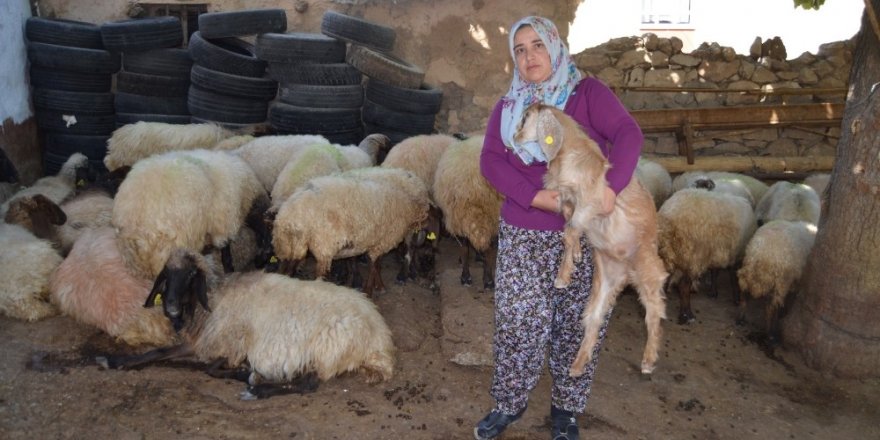 Siirtli kadın çiftçinin projesi Türkiye ikincisi oldu