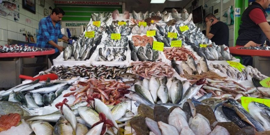 Balık fiyatlarının düşmesiyle vatandaşın talebi arttı