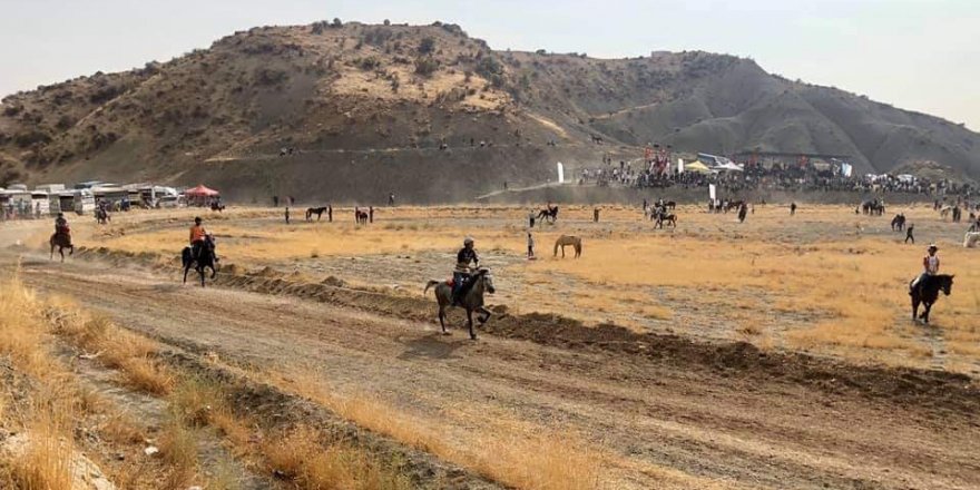 Mardin’de rahvan atları yarıştı
