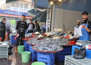 Hamside fiyatında rekor düşüş