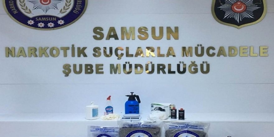Samsun’da bonzai imalathanesine operasyon: 1 gözaltı