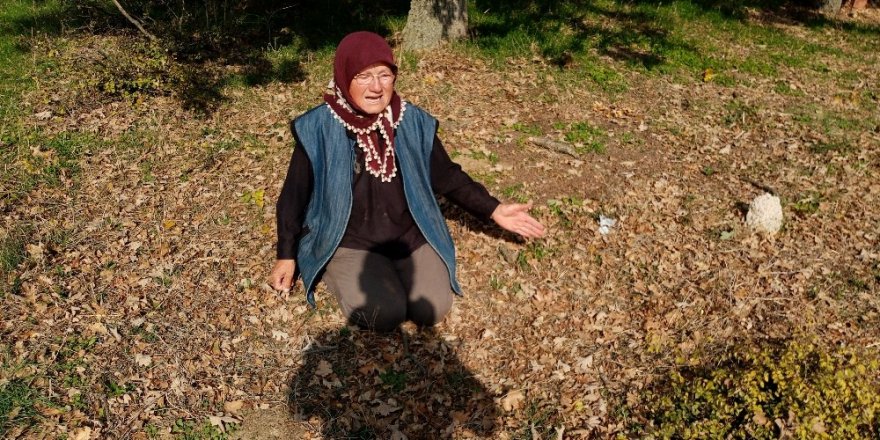 70 yaşındaki kadın yıkım kararını duyunca yere kapanıp ağladı