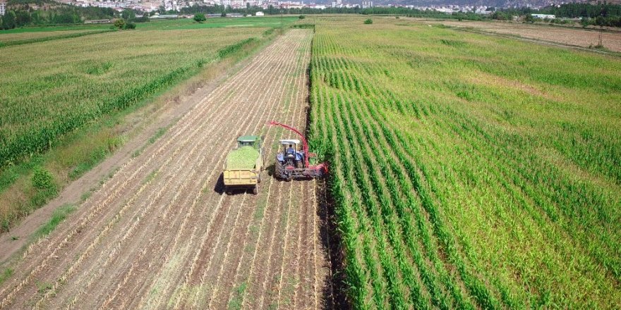 Tokat’ta 243 bin 490 dekar tarım arazisi sulandı