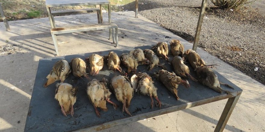Tercan’da avlanma limitlerine uymayan 2 avcıya 9 bin 346 TL para cezası