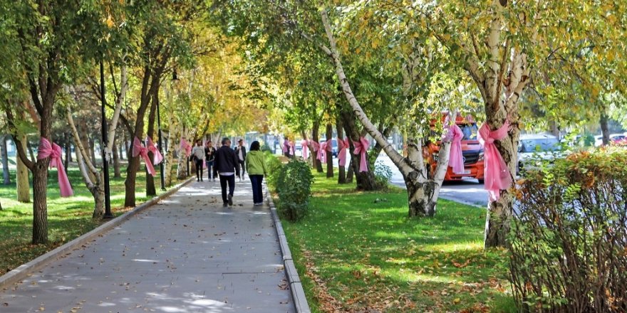 Atatürk Üniversitesi’nde ‘Meme Kanseri Farkındalık Ayı’ etkinlikleri devam ediyor