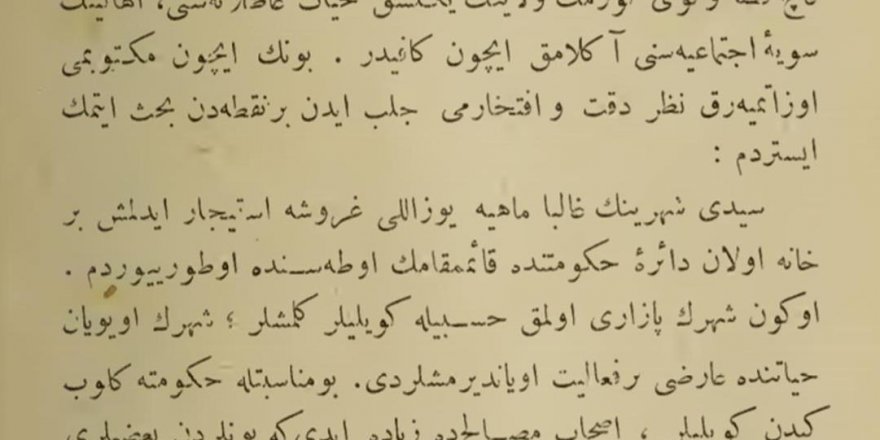 100 yıl önceki  Seydişehir’i yazdı