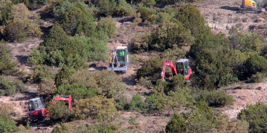 Yunus Emre ağaçlandırma sahasına 228 bin fidan dikilecek