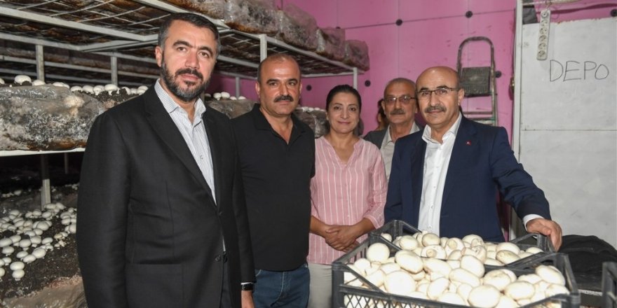 Vali Demirtaş, mantar üretim tesisini ziyaret etti