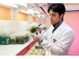 Kmü’lü Araştırma Görevlisine Tübitak’tan 100 Bin Tl Hibe