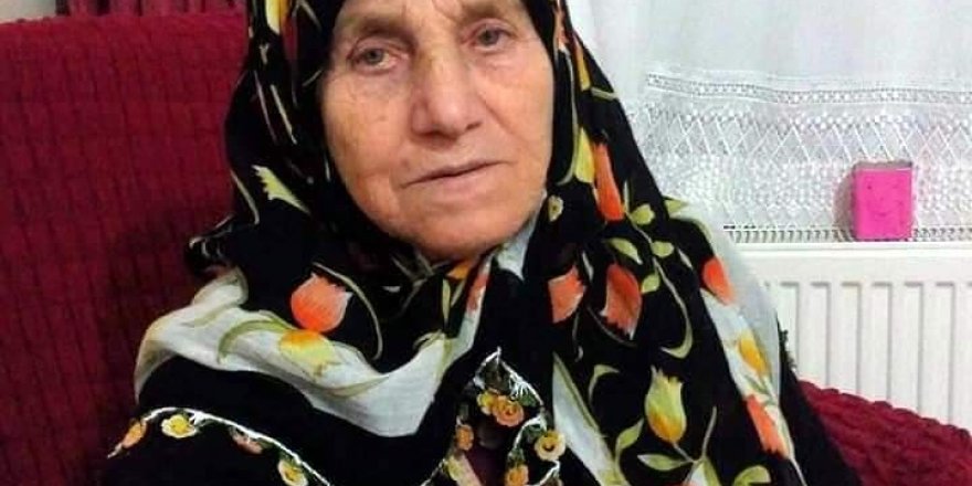 Kastamonu’da mantardan zehirlenen yaşlı kadın hayatını kaybetti