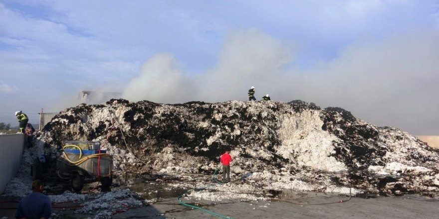 Aydın’da depodaki 2 bin ton pamuk yandı