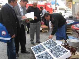Balık Satıcıları Denetlendi