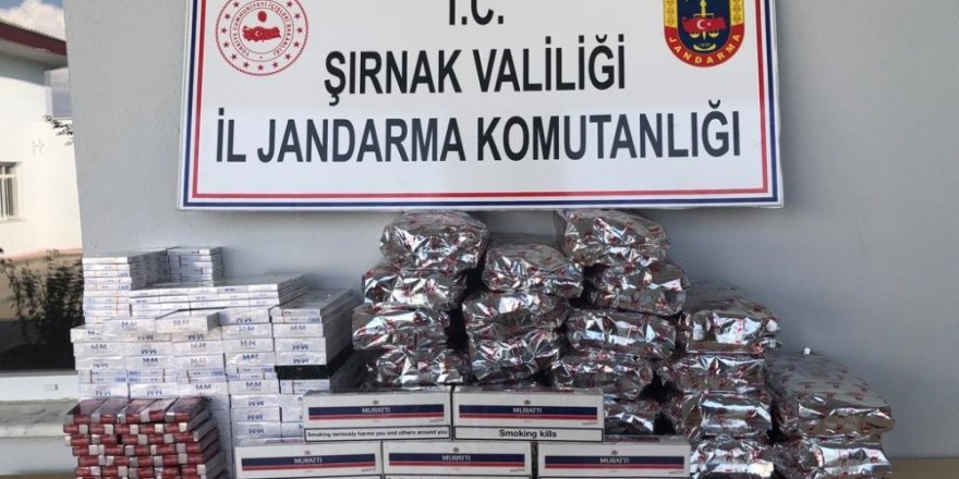 Şırnak’ta uyuşturucu ve kaçakçılık operasyonu: 40 gözaltı