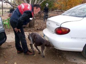 Jandarmadan Uyuşturucu Operasyonu: 13 Gözaltı