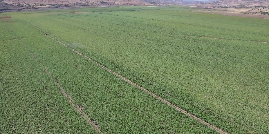 Tunceli’de 5 bin 330 dekar tarım arazisi sulandı