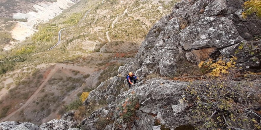 Dağda mahsur kalan keçileri AFAD kurtardı