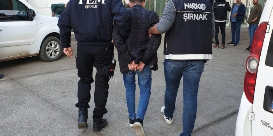 Cizre’de narkotik operasyonu: 6 tutuklandı