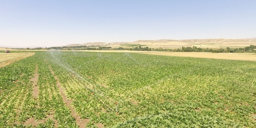 Erzurum’da 125 bin 500 dekar tarım arazisi sulandı