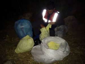 Muğla'da Esrar Ele Geçirildi