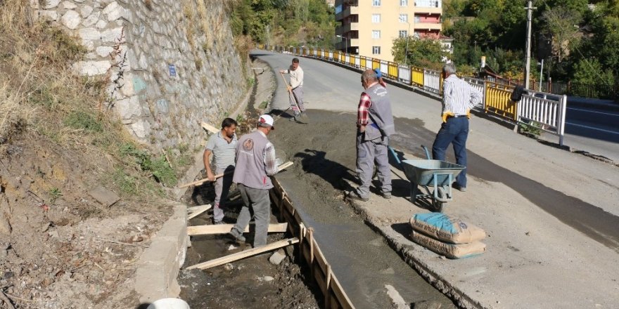 Bitlis Belediyesi su kanallarında çalışma başlattı