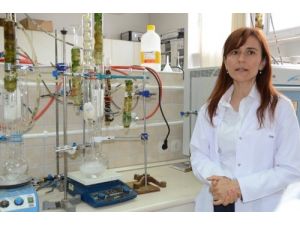 Kırıkkale Üniversitesi Yeni İlaçlar Geliştirmek İçin Proje Başlattı