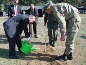 Ağaçlara Asker Künyesi Yazıldı