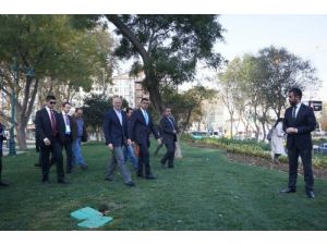 Papandreu, Gezi Parkı'na Fidan Dikti