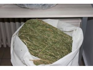 Araçta Yapılan Aramada 73,5 Kilogram Uyuşturucu Ele Geçirildi