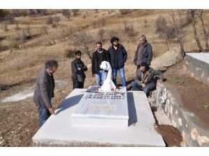 Gazeteciler Cem Emir’i Andı