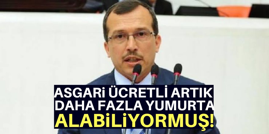 Artık daha çok yumurta alıyorlar!