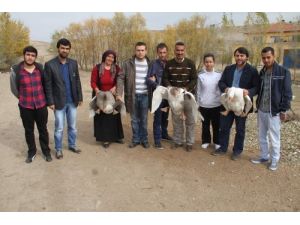 Yozgat’ta Kaz Yetiştiriciliği Konusunda Bilimsel Çalışma Başlatıldı