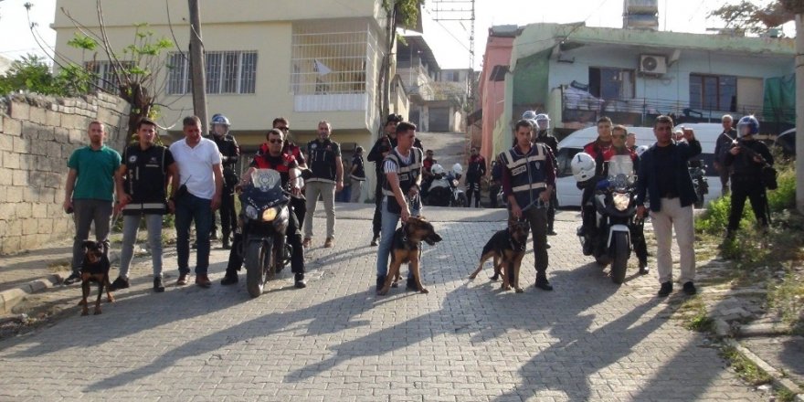 İskenderun polisinden dedektör köpeklerle uyuşturucu baskını