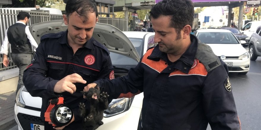 Beşiktaş’ta itfaiye ekiplerinden yavru kedi kurtarma operasyonu