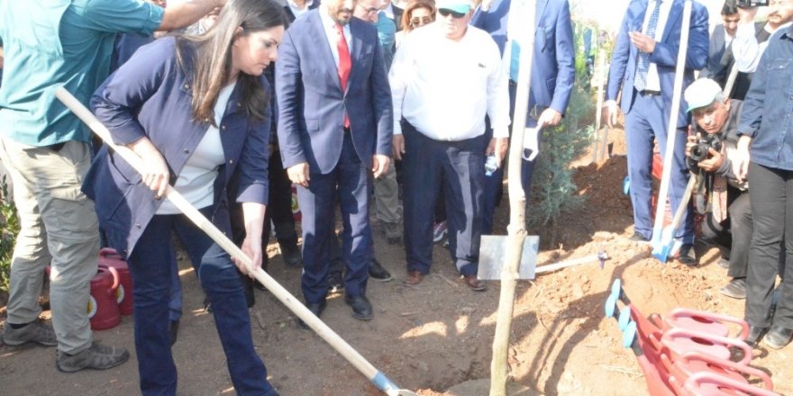 Adana’da 205 bin fidan toprakla buluştu