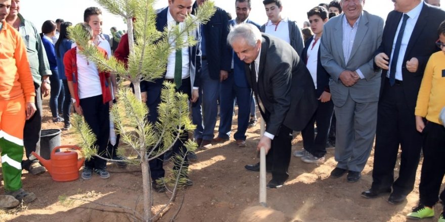 KOSKİ’den “Geleceğe Nefes” için 42 bin fidan